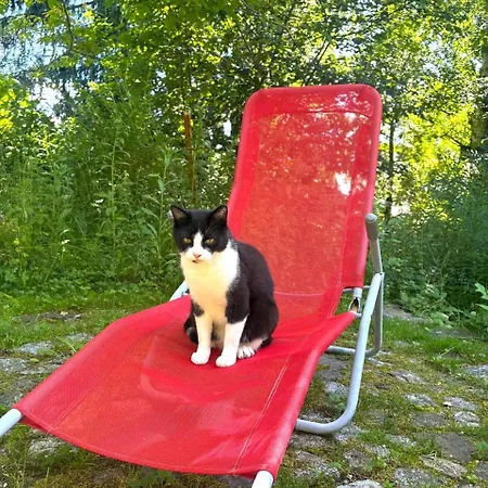 Alloggio in famiglia Ferienzimmer Koenig Breitenbrunn (Saxony)