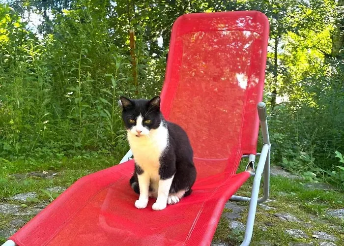 Homestay Ferienzimmer Koenig Breitenbrunn (Saxony)