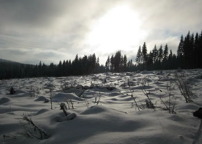 Homestay Ferienzimmer Koenig *
