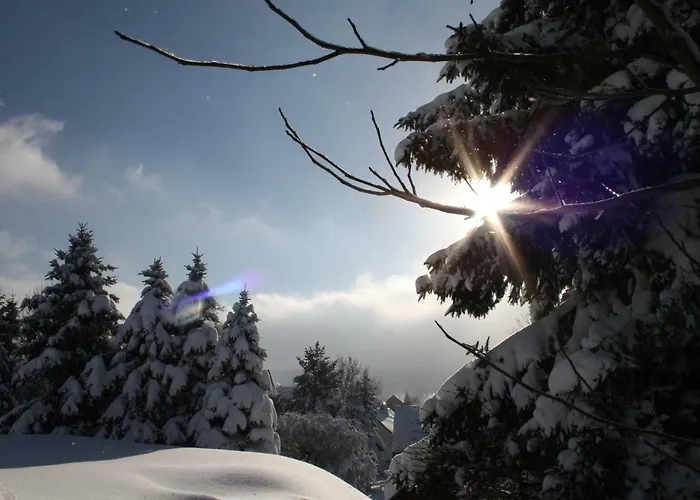 Ferienzimmer Koenig Homestay Breitenbrunn (Saxony)
