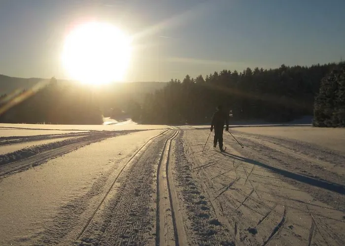 Ferienzimmer Koenig * Breitenbrunn (Saxony)