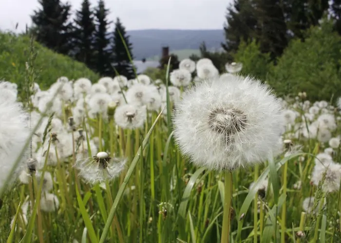 Homestay Ferienzimmer Koenig