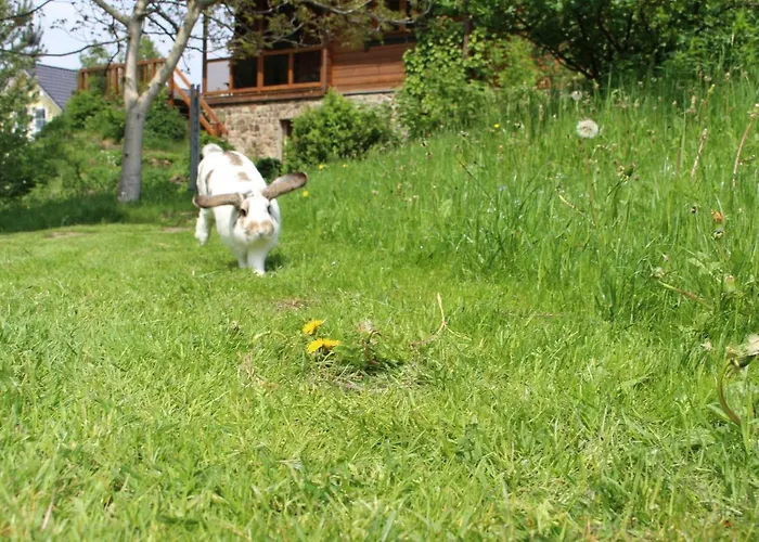 Ferienzimmer Koenig Alloggio in famiglia